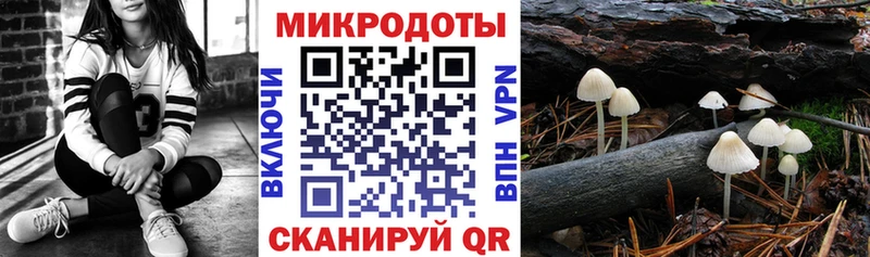 где продают наркотики  Абакан  Галлюциногенные грибы Psilocybine cubensis 